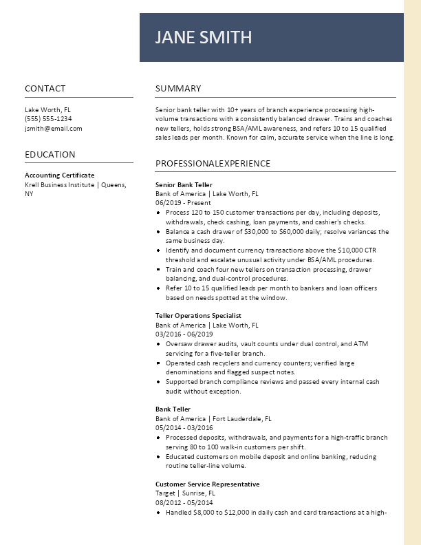 Modern VI resume template